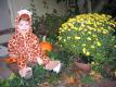 All Hallow's Eve