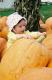 The Great Pumpkin